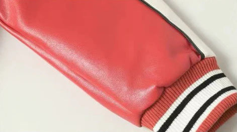 AUR-HELLSTAR Leather Jacket